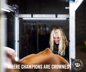 Image post by @AmericanRoyalLivestock on Facebook