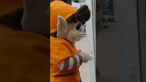Video post by @browns on YouTube