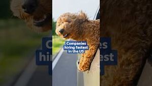 Video post by @indeed on YouTube