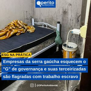 Image post by @operitoambiental on Instagram