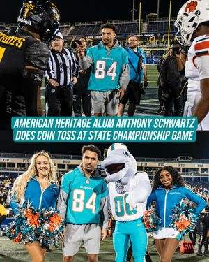 Image post by @juniordolphins on Instagram