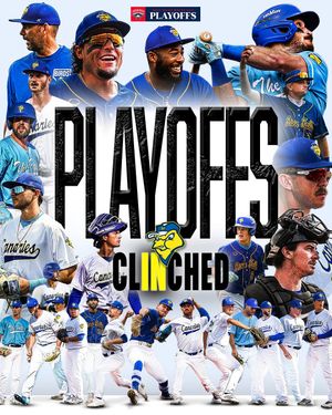 Image post by @canaries_baseball on Instagram