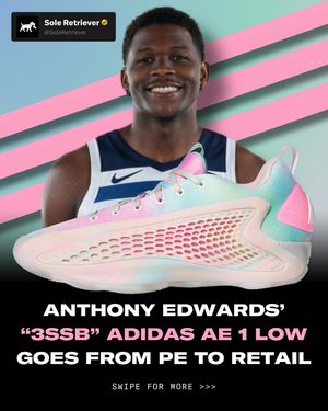 Image post by @soleretriever on Instagram