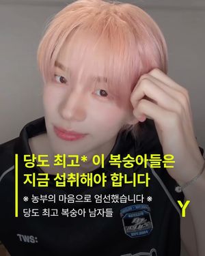 Image post by @ymagazine_official on Instagram