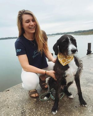 Image post by @rachelbeeman on Instagram