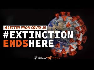 Video post by @Rewild on YouTube