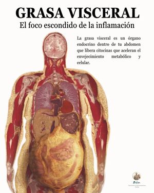 Image post by @ruben_nutricionyentrenamiento on Instagram