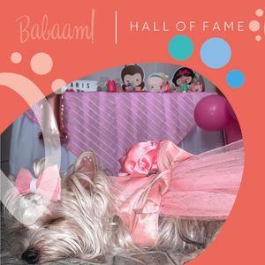 Image post by @babaamstore on Instagram