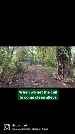 Image post by @DetroitParksRec on Facebook
