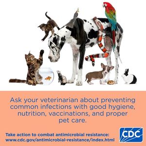 Image post by @mnhealth on Facebook