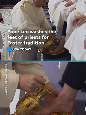 Video post by @usatoday on TikTok