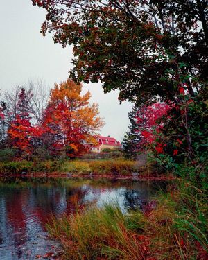 Image post by @laurawolffphoto on Instagram