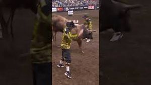 Video post by @pbr on YouTube