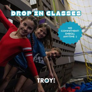 Image post by @troygymnastics on Instagram