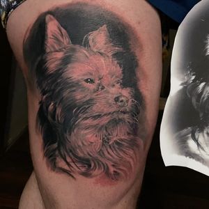 Image post by @vergertattoo on Instagram