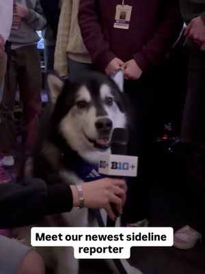 Image post by @production.dawgs on Instagram