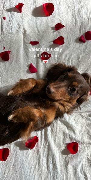 Video post by @catchingupwithcaitlin on TikTok