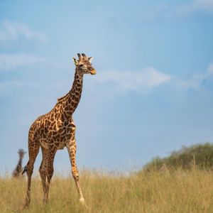 Image post by @bbcearth on Instagram