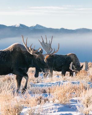 Image post by @andyaustinphoto on Instagram