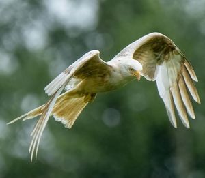 Image post by @rspb on Instagram