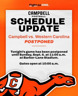 Image post by @gocamelsfb on Instagram