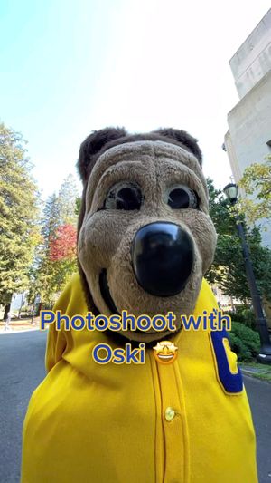 Video post by @ucberkeley on TikTok
