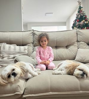 Image post by @danrocha on Instagram
