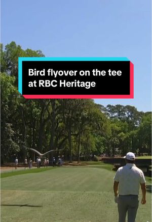 Video post by @nbcgolf on TikTok