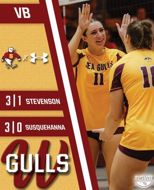 Image post by @suseagulls on Instagram