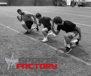 Image post by @arenasportsfactory on Instagram