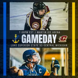 Image post by @cmu_wclubhockey on Instagram