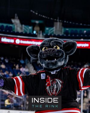 Image post by @insidetherinkcom on Instagram