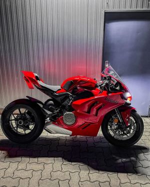 Image post by @panigalers on Instagram