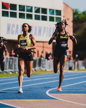 Image post by @dyestat on Instagram
