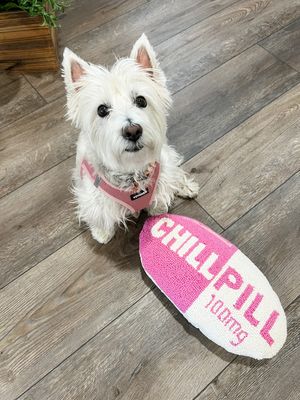 Image post by @serendipitybeyonddesign on Instagram