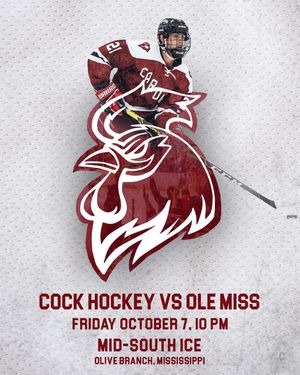 Image post by @cockhockey on Instagram