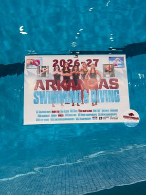 Image post by @razorbackswimdive on Instagram