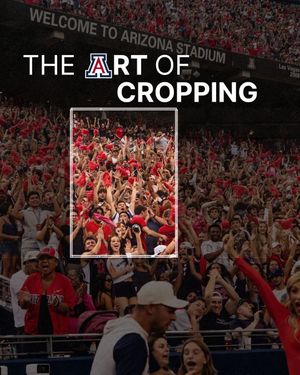 Image post by @uarizona on Instagram