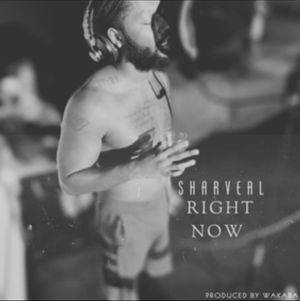 Image post by @sharveal on Instagram