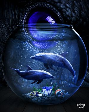 Image post by @nflonprime on Instagram