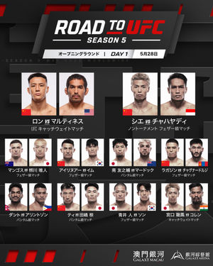 Image post by @ufc.japan on Instagram