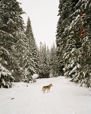 Image post by @lauraroze on Instagram