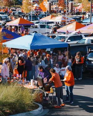 Image post by @clemsontigers on Instagram