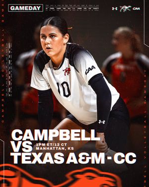 Image post by @gocamelsvb on Instagram