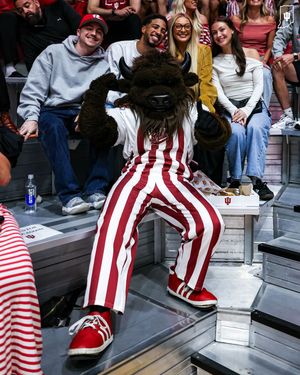 Image post by @hoosierthebison on Instagram