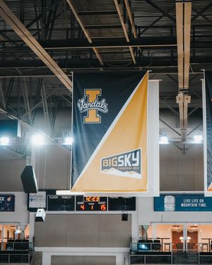 Image post by @vandalhoops on Instagram