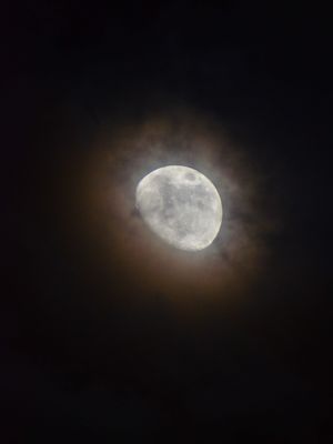 Image post by @throughcollinseyes on Instagram