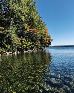 Image post by @themainemag on Instagram