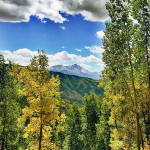 Image post by @vailmtn on Instagram