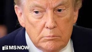 Video post by @msnbc on YouTube
